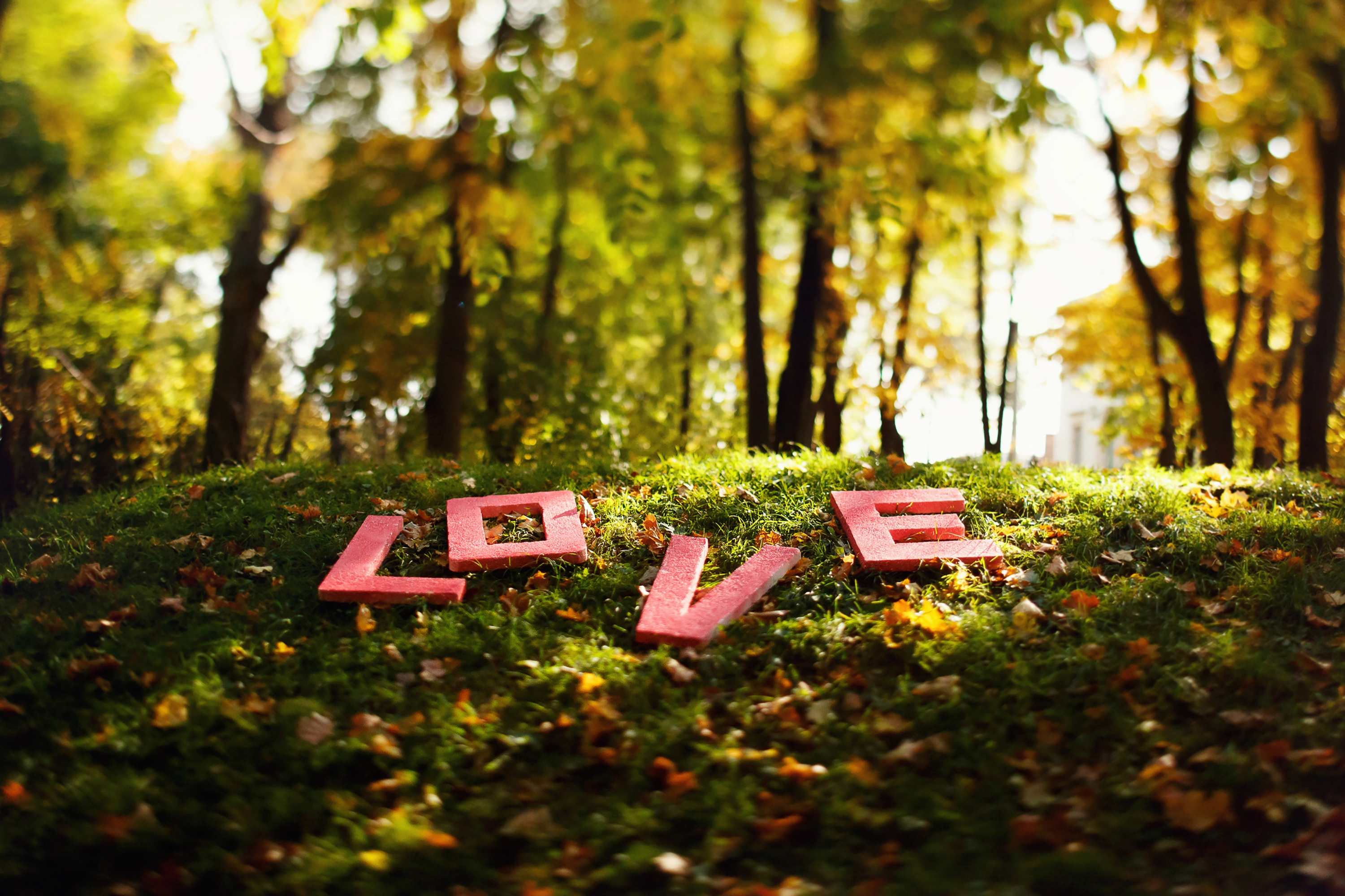 When Love Saves Lives, Linking Valentine’s Day, Climate Resilience, and Postpartum Haemorrhage