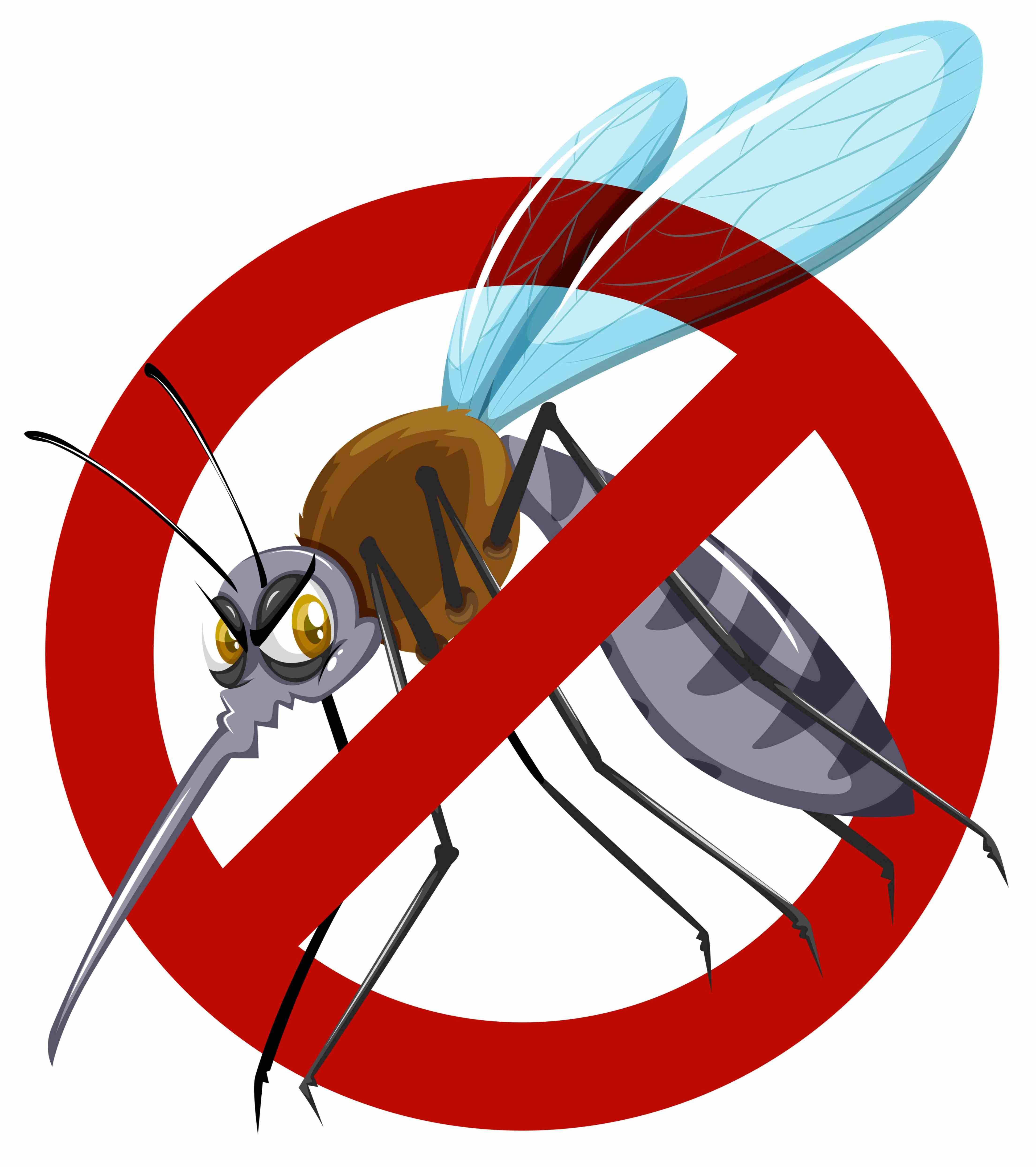 Malaria in Pregnancy and PPH, Preventing Complications That Increase Bleeding Risk