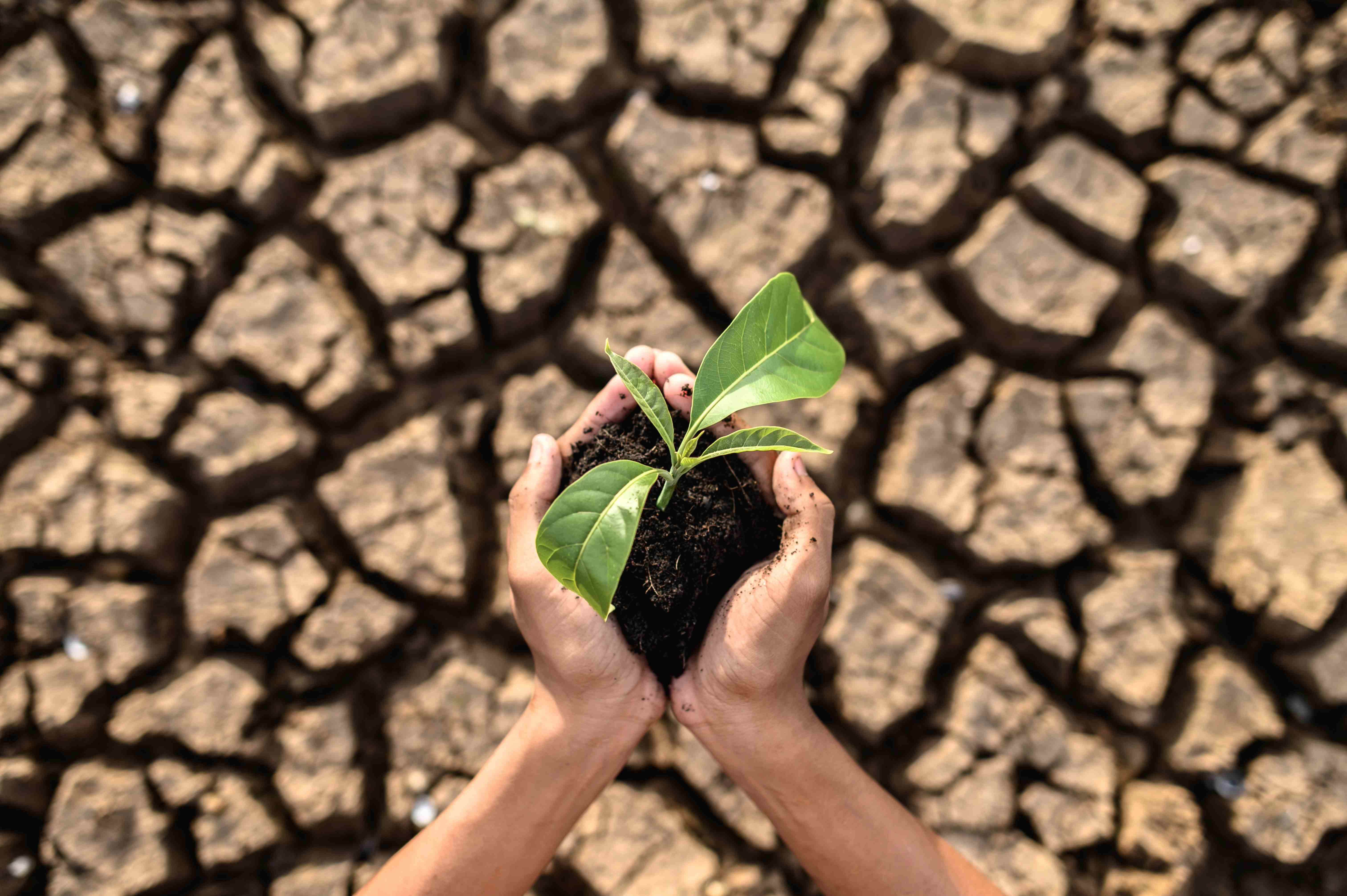 Drought, Food Insecurity and Postpartum Haemorrhage: An Emerging Maternal Health Crisis